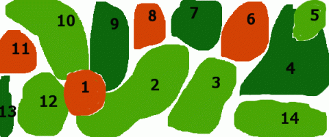 Hollandse Planten aquarium 160-180cm